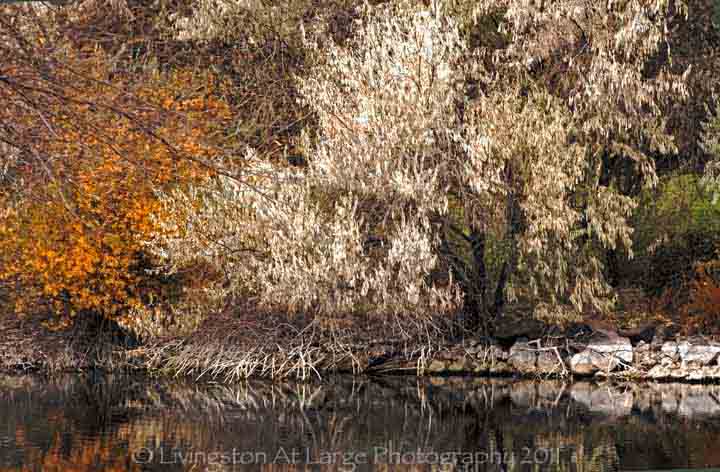 Autumn at Eagle crest